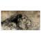 Designart - Lion in Sepia - Animal Canvas Art Print